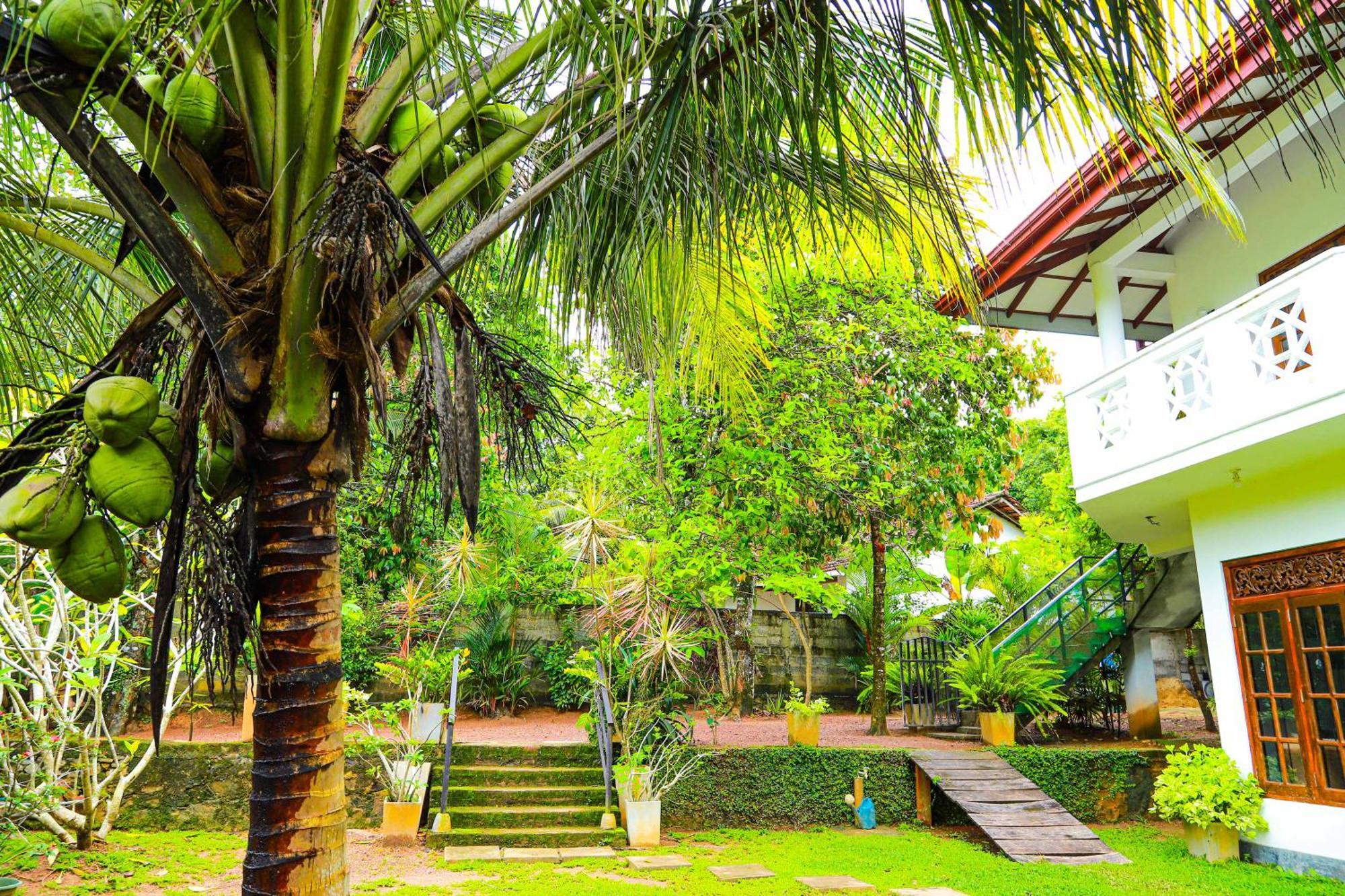 Dil'S Place เบอร์อูวาลา ภายนอก รูปภาพ