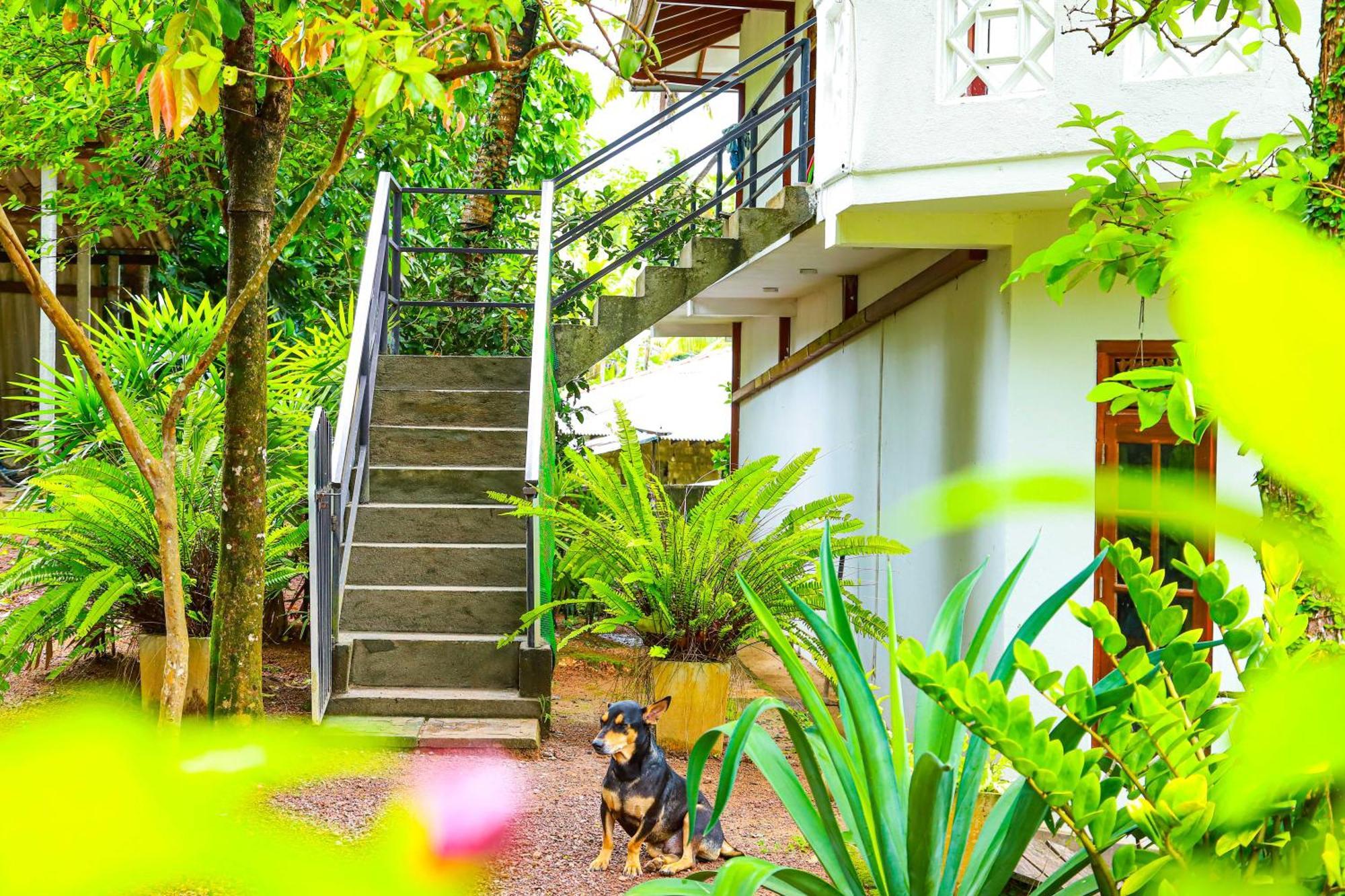 Dil'S Place เบอร์อูวาลา ภายนอก รูปภาพ